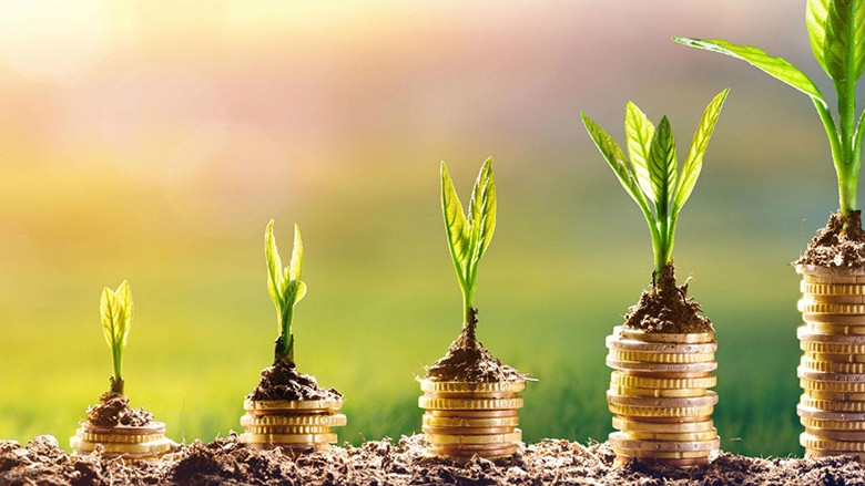 como-empezar-a-invertir-consejos-para-principiantes